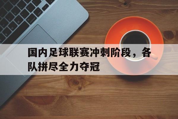 九游APP官网-国内足球联赛冲刺阶段,各队拼尽全力夺冠